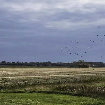 Hotel Rosanna 3 Stelle Superior 3*