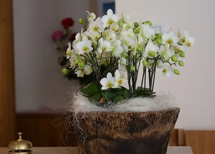 Hotel Rosanna 3 Stelle Superior